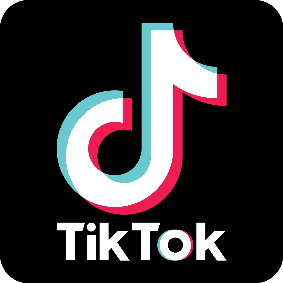 tictok_kgaFIn5